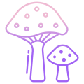 Edible Mushroom icon