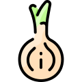 Onion icon