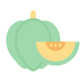 Pumpkin icon