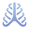 Anatomy icon