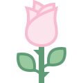 Rose icon