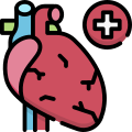 Cardiology icon