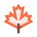 Leaf icon