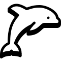 Delfino icon