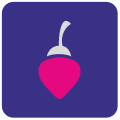 Berry icon