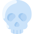 Skull icon