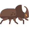 犀牛甲虫 icon