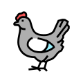 Chicken icon