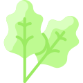 Rhubarb icon