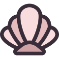 Concha icon