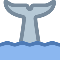 Tail Of Whale icon