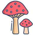 Edible Mushrooms icon