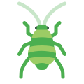 蚜 icon