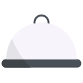 Food Tray icon