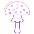 Amanita Pantherina icon