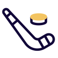 Ice hockey with circular disc played on icon