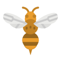 Bee icon