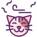 Cat icon