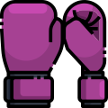 Boxing Gloves icon