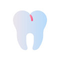 Molar icon