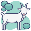 Animal icon