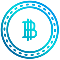 Bitcoin icon