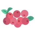 Cranberry icon