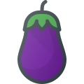 Eggplant icon