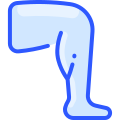 Leg icon