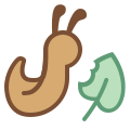 进食的蛞蝓 icon