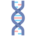 외부-DNA-경찰-플랫아이콘-플랫-플랫-아이콘 icon