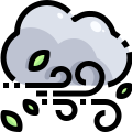 Wind icon