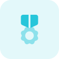 Flower shape military medal isolated on a white background icon