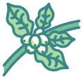 Coffee Plant icon