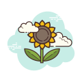 Sunflower icon