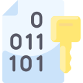 Binary Code icon