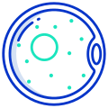 Ovum icon