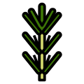 Rosemary icon