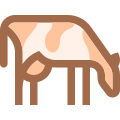 암소 번식 icon