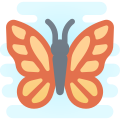 Schmetterling icon