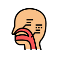 Nasal Passages icon