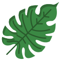 Palm Leaf icon