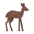 Fawn icon