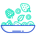 Berries icon