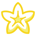 Starfruit icon