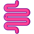 Intestine icon