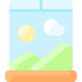 Window icon