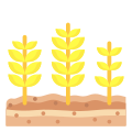 Пшеница icon