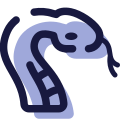 Année du Serpent icon