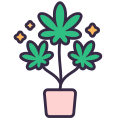 Cannabis icon